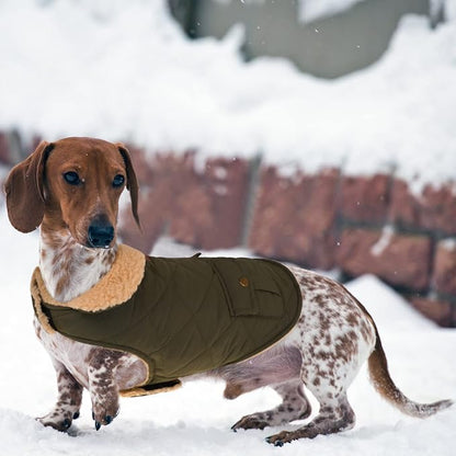 Queenmore Warm Puffer Dog Coat, Quilting Winter Jacket Ultra Thick Plush Lining with Storage Pockets (Green, X-Small)