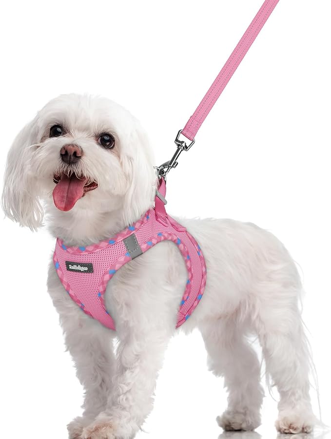 rabbitgoo Dog Harness Small Sized and Leash Set, Step in Soft Light Puppy Vest, Breathable Mesh Pet Harness, Reflective for Safe Easy Walking, Pink & Plaid Trim M