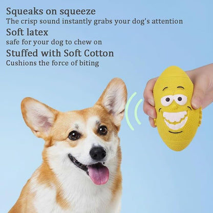 6 Pack Interactive Dog Toy Set,Squeaky Latex, Plush & Rope Toys for Small and Medium Dogs, Fun Chew Toys for Training, Play, and Exercise