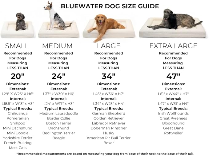 Bluewater Dog Luxury Boucle Orthopedic Memory Foam Dog Bed with Waterproof Liner and Machine Washable Cover with YKK Zippers (X-Large, 61" L x 44" W x 7" Th, Sand)