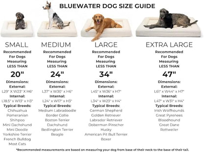 Bluewater Dog Luxury Boucle Orthopedic Memory Foam Dog Bed with Waterproof Liner and Machine Washable Cover with YKK Zippers (Small, 29" L x 23" W x 6" Th, Cloud)