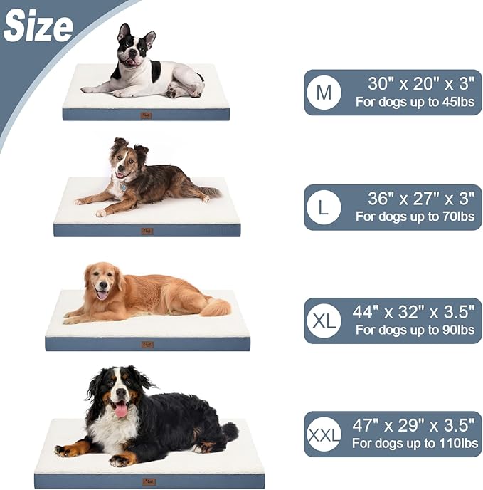 Tail Stories Orthopedic Dog Bed for Extra Large Dogs, XL Comfort Pet Mat for Large Sized Dog 44x32 Inch, Egg Crate Foam with Removable Washable Oxford Cover, Blue White