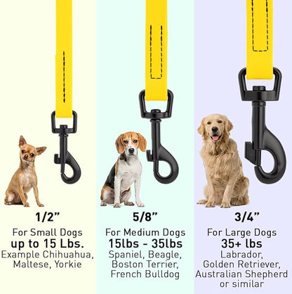 Dogline Biothane Waterproof Dog Leash Strong Coated Nylon Webbing with Black Hardware Odor-Proof Easy to Clean High Performance for Small or Large Dogs Made in USA 4 or 6 ft Lead, Lemon Yellow