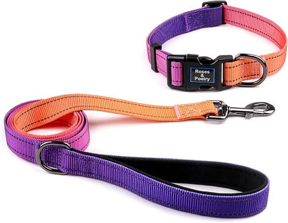Roses&Poetry Reflective Small Dog Collar and Leash Set, Puppy Personalized Boy and Girl Collar with Leash, Adjustable Nylon Durable Pet Matching Collars Leashes for Small Puppies（Mistyrose-S