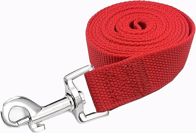 Strong Nylon Dog Leash, 4FT/ 5 FT/ 6FT Dog Leashes for Small Medium Dogs