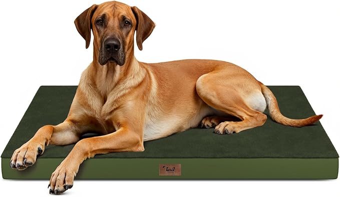 Tail Stories Flat Extra Large Dog Bed, Jumbo Waterproof Dog Bed for Large Dogs, Orthopedic Egg Crate Foam Pet Mat with Removable Washable Cover, Olive Green
