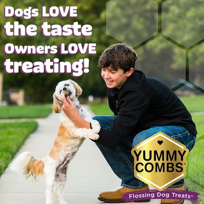 Yummy Combs Dog Dental Treats – Vet VOHC Approved, Removes Tartar & Cleans Teeth – Yummy High Protein Chicken Treat for Extra Small Dogs (Mini Pack, 30 Count)