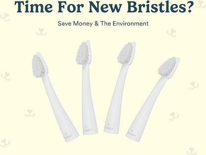 Jasper Microbrush Cat Toothbrush, Soft-Bristled Toothbrush Kit for Felines & Small Dogs, Non-Slip Handle with 2 Replaceable Brush Heads, Use with Cat Toothpaste (Microbrush, Brush Heads Only)