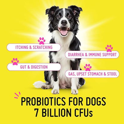 Koby Dog Probiotic Powder – Made with Clean USDA Organic Ingredients for Gut, Digestive, Skin & Immunity – Dog Food Topper - Vet Preferred Probiotics for Dogs of All Ages – 7 Billion CFUs, 60 Servings
