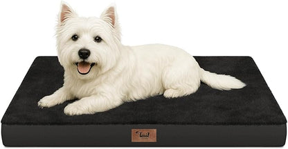 Tail Stories Comfort Dog Bed for Small Dogs & Cats, Waterproof Dog Crate Mat Orthopedic Egg Crate Foam with Washable Removable Cover, Black