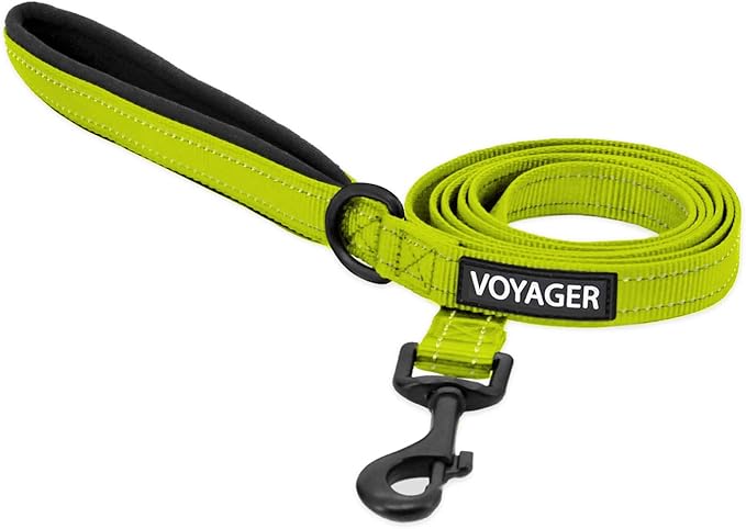 Best Pet Supplies Voyager Reflective Dog Leash or Collar with Neoprene Handle, for Small, Medium, and Large Breed Puppies, Cute and Heavy Duty for Walking, Running and Training - Lime, L