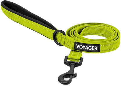Best Pet Supplies Voyager Reflective Dog Leash or Collar with Neoprene Handle, for Small, Medium, and Large Breed Puppies, Cute and Heavy Duty for Walking, Running and Training - Lime, L