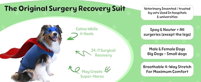 SurgiSnuggly Veterinary Invented Dog Surgery Recovery Suit for Female and Male Dogs,Spay,Neuter Dog Cone Onesie, Surgical Recovery Bodysuit for After Surgery Small,Medium,Large Dogs BB LS