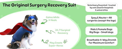 SurgiSnuggly Veterinary Invented Dog Surgery Recovery Suit for Female and Male Dogs,Spay,Neuter Dog Cone Onesie, Surgical Recovery Bodysuit for After Surgery Small,Medium,Large Dogs BB LS