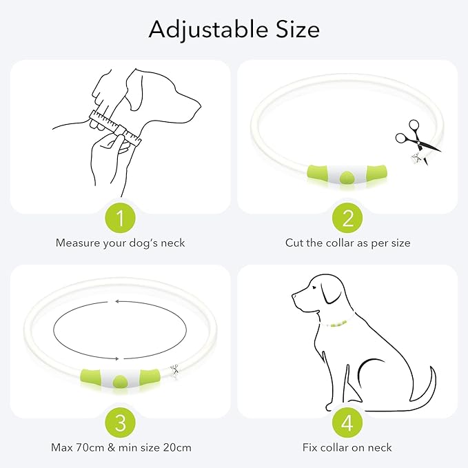 Colaseeme LED Dog Collar Light Up Dog Collars 1 Count USB Rechargeable TPU Glow Safety Basic Dog Collars for Large Medium Small Dogs (Green + Blue)