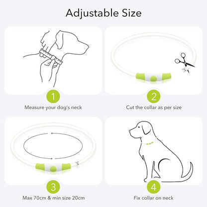 Colaseeme LED Dog Collar Light Up Dog Collars 1 Count USB Rechargeable TPU Glow Safety Basic Dog Collars for Large Medium Small Dogs (Green + Blue)