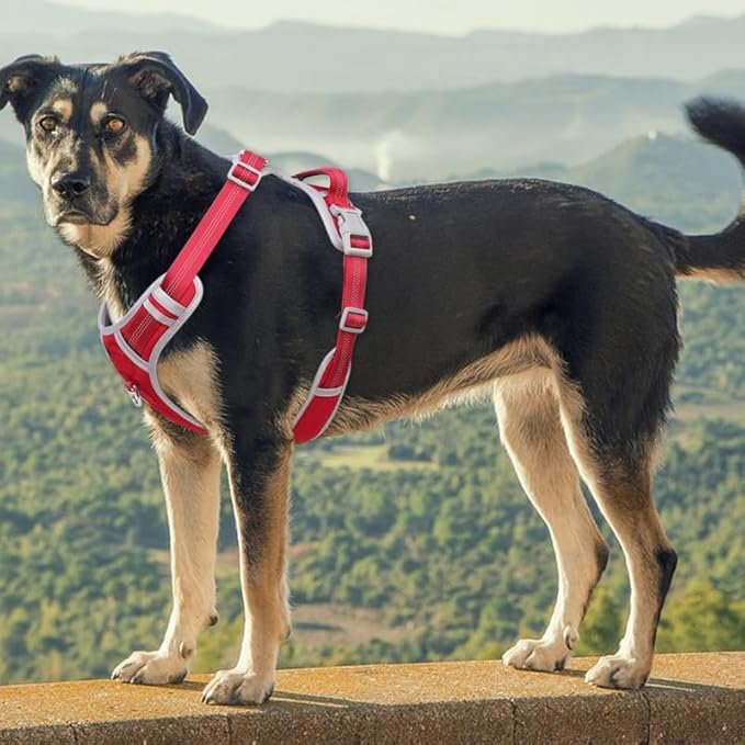 Paawpal Adjustable Dog Harness - No Pull, Reflective, Soft Padded for Small, Medium, Large Dogs - Includes Leash Red XL