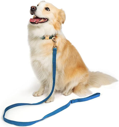 Ewinoom Soft Corduroy Dog Collar and Leash Set Adjustable Durable Dog Collars with Metal Buckle and Lead for Medium Dogs,Royal Blue