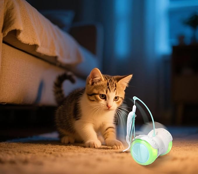 ZeLing HTL Remote Control Cat Toy with Auto Mode - Interactive Cat Toy Feather for Indoor, Moving Cats Catnip Toys & LED to Keep Bored Cats Active & Entertained