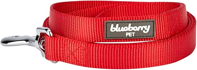 Blueberry Pet Essentials Rouge Red Dog Leash for X-Small -5' * 3/8" Dogs | Heavy Duty Nylon Lead | Lightweight Puppy & Cat Leash for Walking & Training