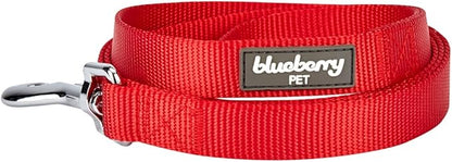 Blueberry Pet Essentials Rouge Red Dog Leash for X-Small -5' * 3/8" Dogs | Heavy Duty Nylon Lead | Lightweight Puppy & Cat Leash for Walking & Training