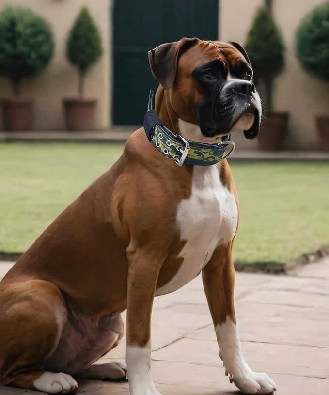 Dog Collar for Large Dogs - 2" Wide Tactical Collars with Handle for Extra Large Breed Dogs, Military Heavy Duty 1/3" Thick Nylon Pet Collar Camo Green L