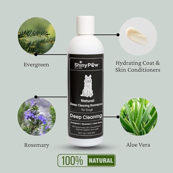 Shiny Paw Natural Deep Cleaning Organic Dog Shampoo 16 oz | Dog Itching Skin Relief with Evergreen, Aloe & Rosemary | Natural Dog Shampoo for Smelly Dogs
