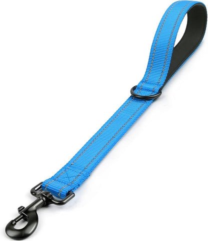 Joytale Strong Short Dog Leash 18 Inch, 1.2 Inch Wide, Heavy Duty, Padded Handle for Traffic Control, Reflective Leash for Medium and Large Dogs Walking Training, Aqua Blue