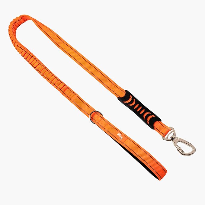 DF Co. Bungee Dog Leash | Strain Free & Shock Resistant for Control | Neoprene Padded Handle, Heavy-Duty Carabiner Clip, and D-Ring | Hi-Vis Orange, Size Small
