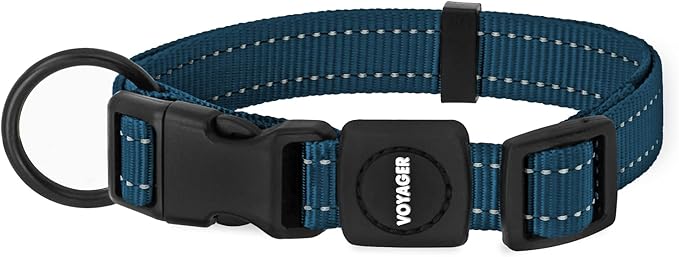 Best Pet Supplies Voyager Reflective Dog Leash or Collar with Neoprene Handle, for Small, Medium, and Large Breed Puppies, Cute and Heavy Duty for Walking, Running and Training - Blue, L