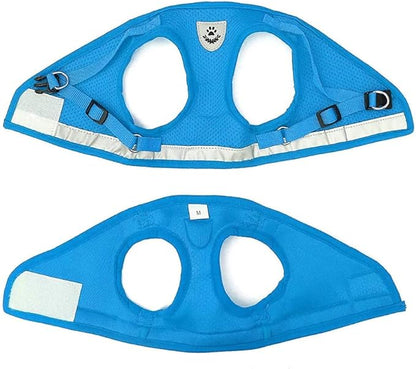 FEimaX Dog Harness and Leash Set for Walking, Soft Mesh Adjustable Easy Control Lightweight Cat Vest Harnesses with Reflective Strips, Escape Proof Small Dogs Cats Vests (Azure, Large)