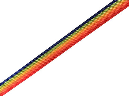 Nylon Dog Leash 8 Feet Long, Walking Training Dog Leashes for Medium Large Dogs(1" X 8 ft, Rainbow)
