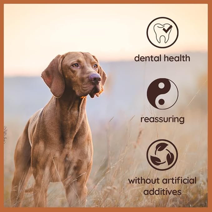 Wildfang® Briar Wood Chewing Root, Large - Splinter Free Wood Dog Chew Toys for Aggressive Chewer, Odorless Natural Teething Toys Dogs Dental Health, Healthy Gums (for Dogs 55-99 lbs), Pack of 1
