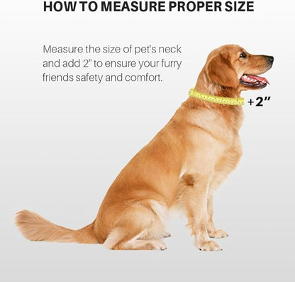 Hyhug Dog Collar for Large Dogs, Heavy Duty Red| Quick Release Nylon Buckle Collar, Adjustable & Durable Pet Supplies for Boy & Girl Dogs (Large, Red)
