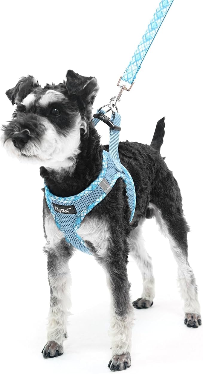 PUPTECK Dog Harness and Leash Set for Small Medium Dogs No Pull Step-in Soft Mesh Puppy Cat Vest Harnesses Reflective at Night, Sky Blue, L