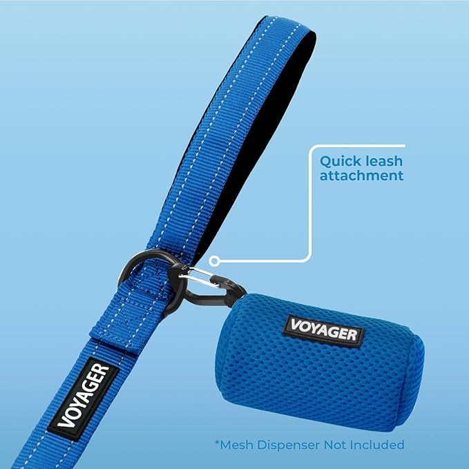 Best Pet Supplies Voyager Reflective Dog Leash or Collar with Neoprene Handle, for Small, Medium, and Large Breed Puppies, Cute and Heavy Duty for Walking, Running and Training - Royal Blue Leash, L