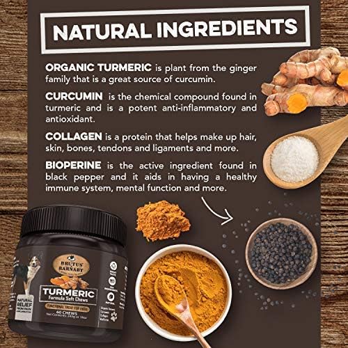 BRUTUS & BARNABY Turmeric for Dogs Anti Inflammatory Pain Relief - Curcumin for Dogs Chews with Collagen & Bioprene - Turmeric Supplement for Dogs Hips, Joint & Mobility Support (60 Count)