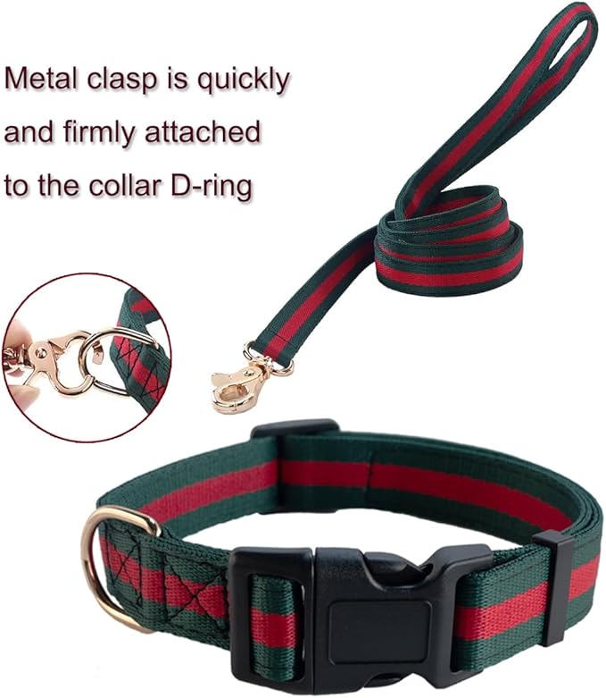 Premium Dog Collar and Leash,Safety and Durable Pet Collars Leashes,Luxury Fashion Dog Collar Gift Set for Medium Dogs