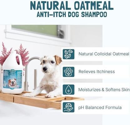 Bio-Groom Oatmeal Dog Shampoo - for Allergies and Itching, Cruelty-Free, Dog Bathing Supplies, Puppy Shampoo for Sensitive Skin, Made in USA, Anti-Itch Dog Products - 5 Gallons