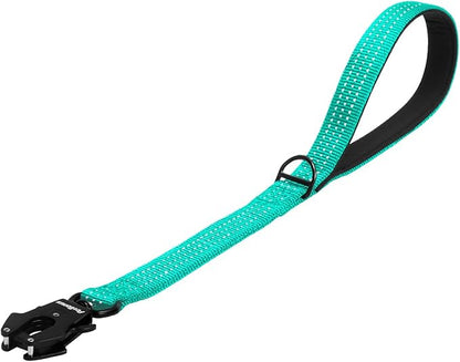 PetBonus Heavy Duty Short Dog Leash, 18 Inch Nylon Traffic Leash with Quick Release Clip, Comfortable Padded Handle, Reflective Training Lead for Medium Large Dogs (Turquoise, 18")