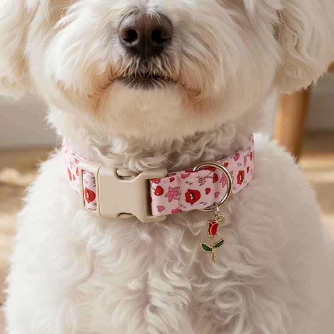Valentines Dog Collar, Girl Dog Collars with Valentines Day Pattern, Cute Pet Collar with Soft Fabric and Quick Release Buckle, Adjustable for Extra Small, Small, Medium & Large Dogs