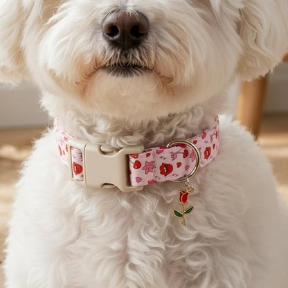 Valentines Dog Collar, Girl Dog Collars with Valentines Day Pattern, Cute Pet Collar with Soft Fabric and Quick Release Buckle, Adjustable for Extra Small, Small, Medium & Large Dogs