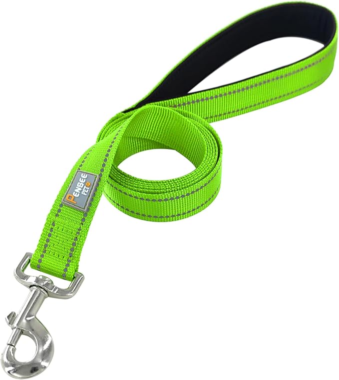 Dog Leash 6 FT Padded Handle Nylon Reflective Dogs Leashes for Small Dogs Puppy Green