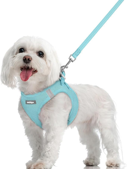 rabbitgoo Dog Harness Small Sized and Leash Set, Step in Soft Light Puppy Vest, Breathable Mesh Pet Harness, Reflective for Safe Easy Walking, Mint Blue M