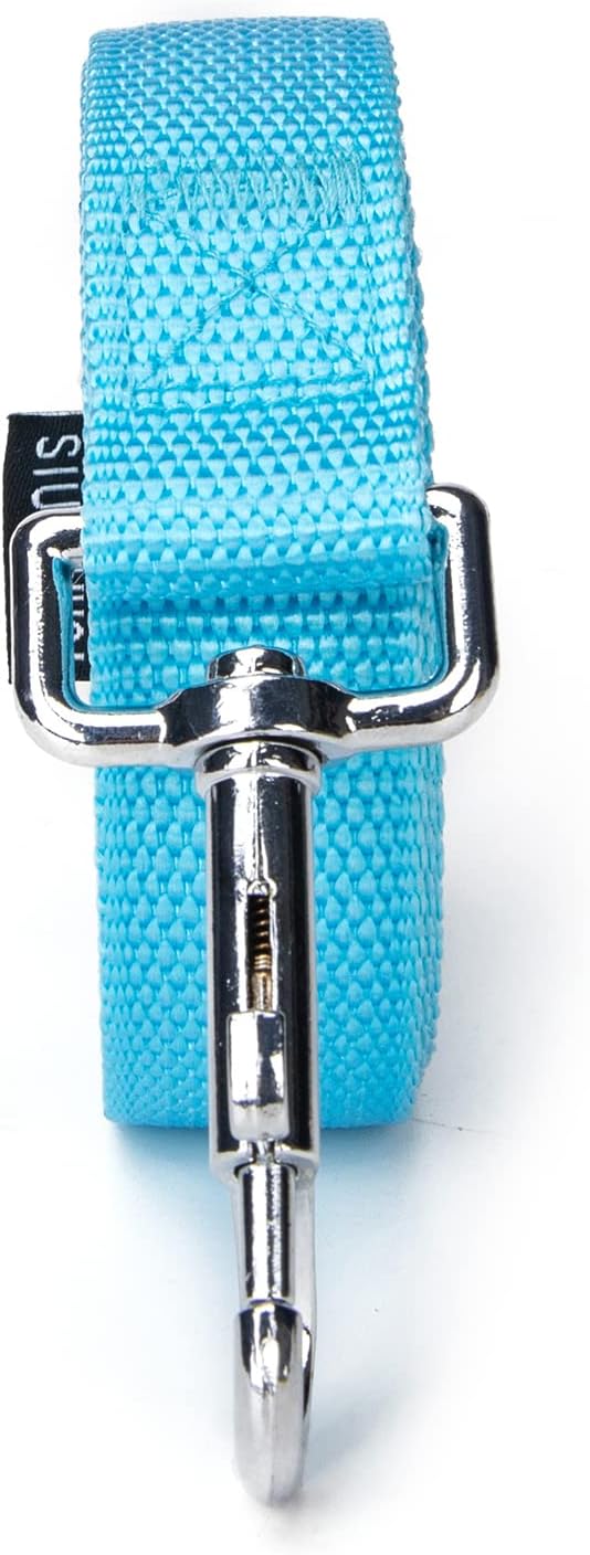 Siumouhoi Strong Durable Nylon Dog Training Leash, 1 Inch Wide Traction Rope, 6 ft 10ft 15ft Long, for Small and Medium Dog (Mint Blue, 15 Feet)