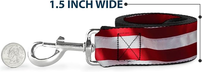 Buckle-Down Dog Leash American Flag Vivid Close Up 6 Feet Long 1.5 Inch Wide