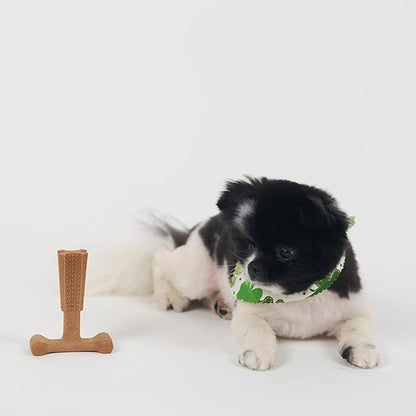 SPOT Bam-Bones Plus T-Bone, Bamboo Fiber & Nylon Dog Chew, Durable for Aggressive Chewers, Non-Splintering, for Adult Dogs & Teething Puppies Under 30lbs, 4in, Chicken Flavor