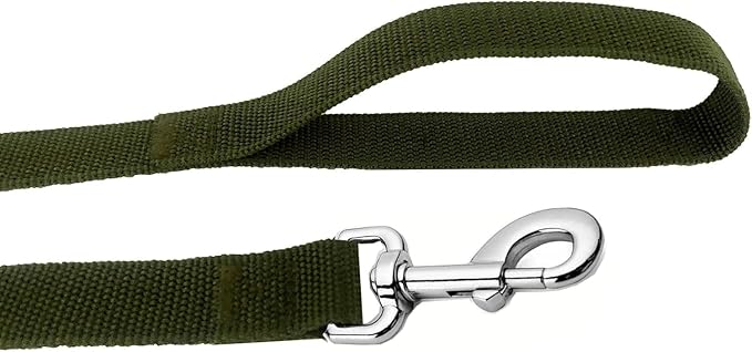 Strong Nylon Dog Leash, 4FT/ 5 FT/ 6FT Dog Leashes for Small Medium Dogs