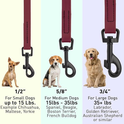 Dogline Biothane Waterproof Dog Leash Strong Coated Nylon Webbing with Black Hardware Odor-Proof Easy to Clean High Performance for Small or Large Dogs Made in USA 4 or 6 ft Lead, Merlot Burgundy