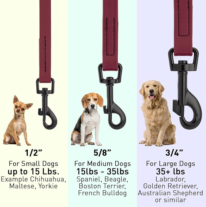 Dogline Biothane Waterproof Dog Leash Strong Coated Nylon Webbing with Black Hardware Odor-Proof Easy to Clean High Performance for Small or Large Dogs Made in USA 4 or 6 ft Lead, Merlot Burgundy
